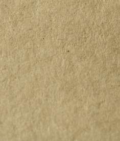  Brown Bag Cardstock 12 x 12: click to enlarge