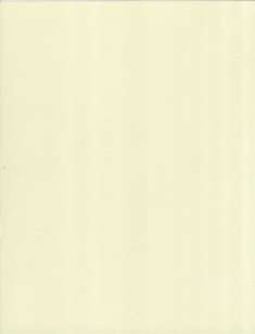 Ivory Leather: click to enlarge