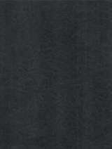 Black Leather