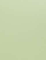 Neenah SuperSmooth Green