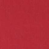 Red Pepper 