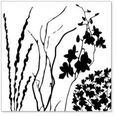 Black Twigs & Weeds: click to enlarge