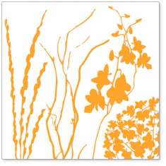 Orange Twigs & Weeds: click to enlarge