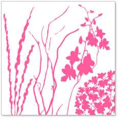 Pink Twigs & Weeds: click to enlarge