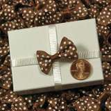 Canyon Brown Itty Bitty Bow